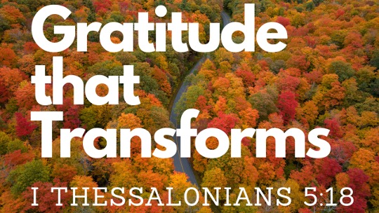 Gratitude In Every Season – Genesis 45:1-15; 50:15-21