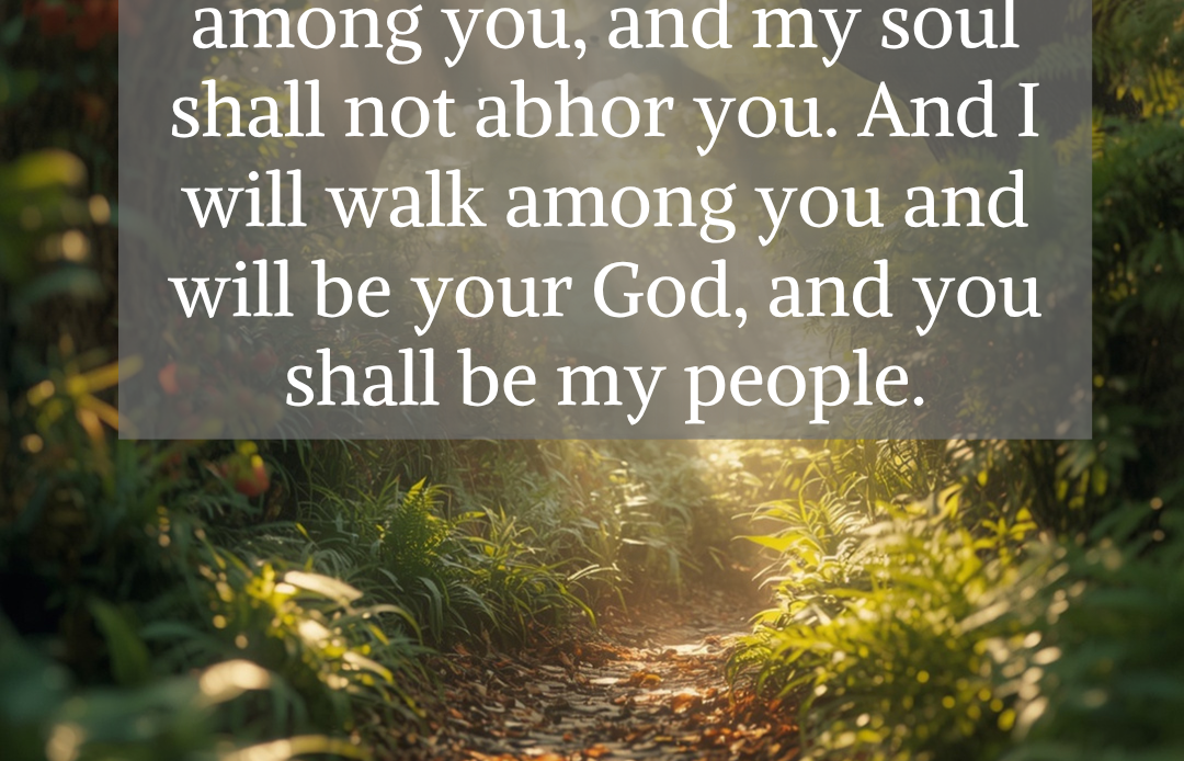 “I will walk among you”